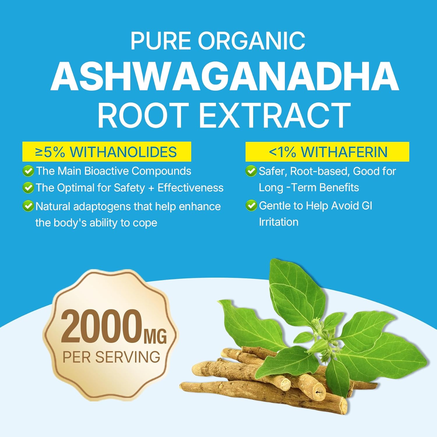 Ashwagandha Gummies – Stress Relief, Calm & Sleep Support, Sugar Free Daily Formula